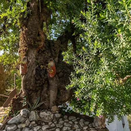 Cortijo Ricardo By Casitas Select בית נופש
